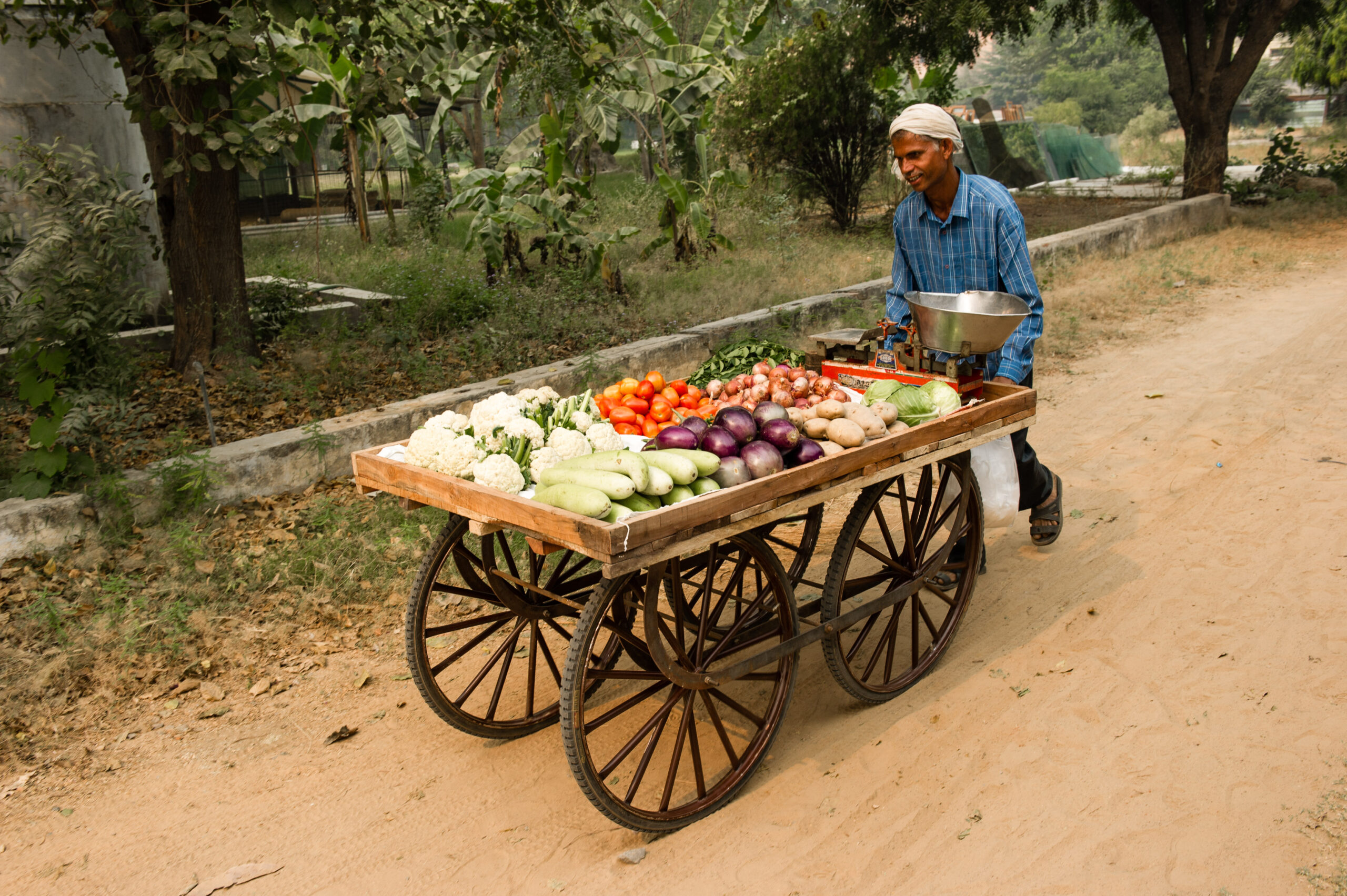 A man pushing a gifted cart