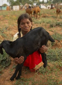 A Kid to Feed a Widow’s Kids