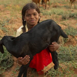 A Kid to Feed a Widow’s Kids