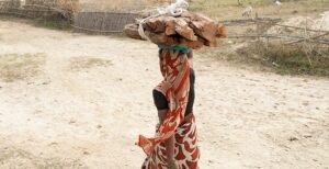 Devastating Illness Brings Family to God - Woman gathering firewood
